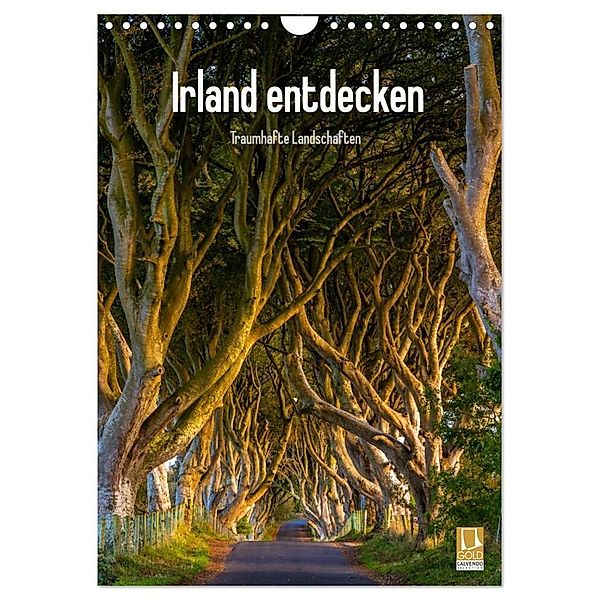 Irland entdecken (Wandkalender 2024 DIN A4 hoch), CALVENDO Monatskalender, Christian Ringer