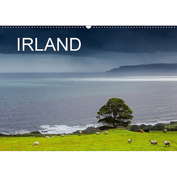 IRLAND - Insel der glücklichen Schafe (Wandkalender 2019 DIN A2 quer), Ferry BÖHME