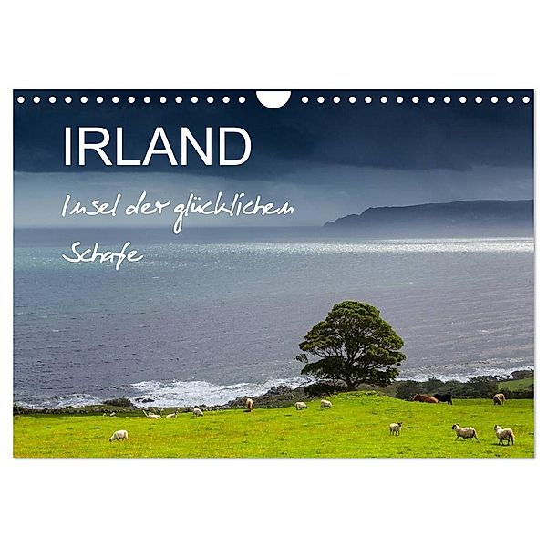 IRLAND - Insel der glücklichen Schafe (Wandkalender 2024 DIN A4 quer), CALVENDO Monatskalender, Ferry Böhme