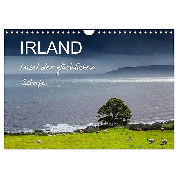 IRLAND - Insel der glücklichen Schafe (Wandkalender 2024 DIN A4 quer), CALVENDO Monatskalender, Ferry Böhme