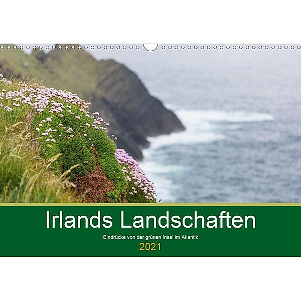 Irlands Landschaften (Wandkalender 2021 DIN A3 quer), Werner Moller