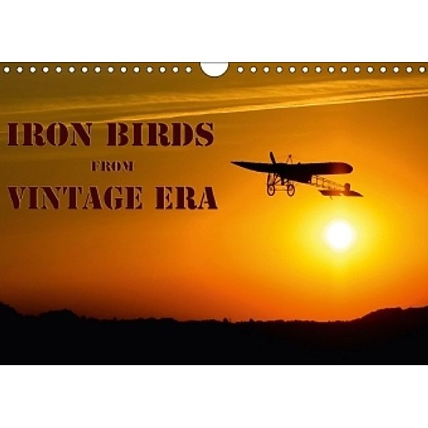 Iron birds from vintage era (Wall Calendar 2017 DIN A4 Landscape), Andy D.