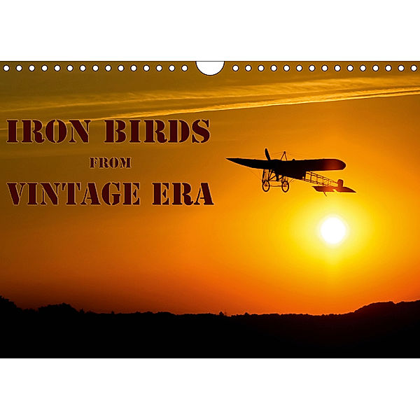 Iron birds from vintage era (Wall Calendar 2019 DIN A4 Landscape), Andy D.