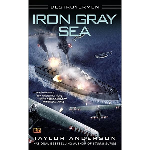 Iron Gray Sea / Destroyermen Bd.7, Taylor Anderson