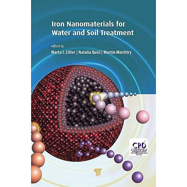 Iron Nanomaterials for Water and Soil Treatment