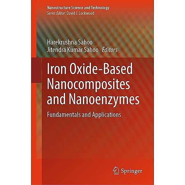 Iron Oxide-Based Nanocomposites and Nanoenzymes / Nanostructure Science and Technology