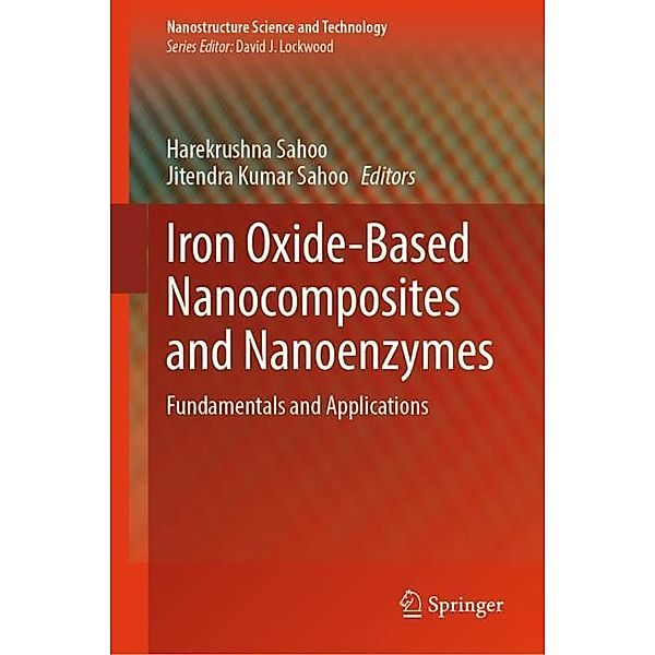 Iron Oxide-Based Nanocomposites and Nanoenzymes