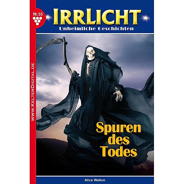 Irrlicht 55 - Mystikroman / Irrlicht Bd.55, Gabriela Stein