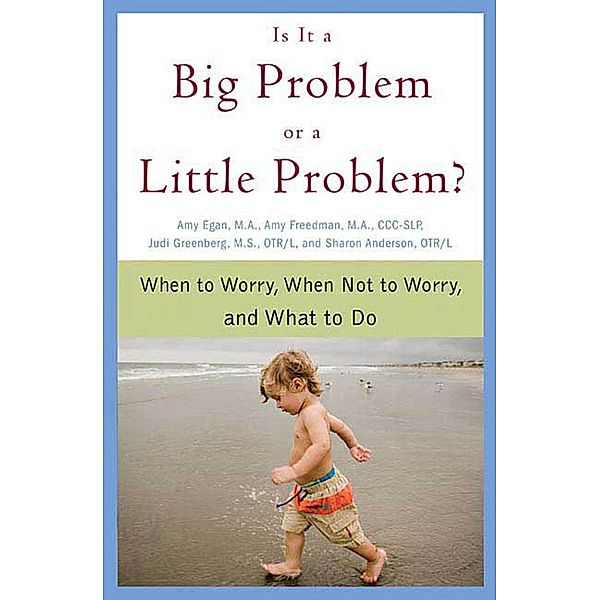 Is It a Big Problem or a Little Problem?, Amy Egan, Amy Freedman, Judi Greenberg, Sharon Anderson