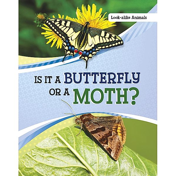Is It a Butterfly or a Moth? / Raintree Publishers, Susan B. Katz