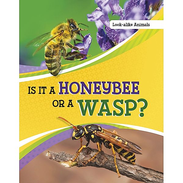 Is It a Honeybee or a Wasp? / Raintree Publishers, Susan B. Katz