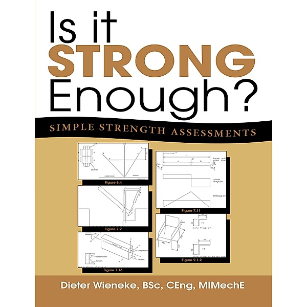 Is It Strong Enough?: Simple Strength Assessments, Dieter Wieneke