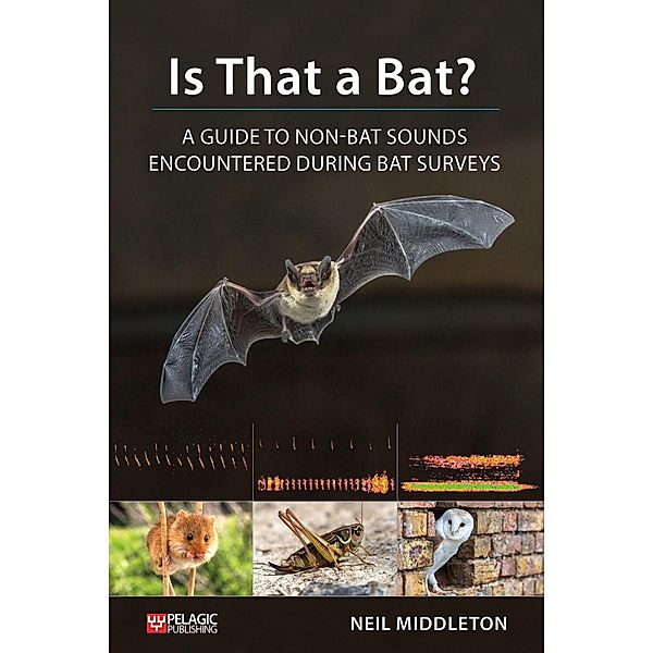 Is That a Bat? / Bat Biology and Conservation, Neil Middleton