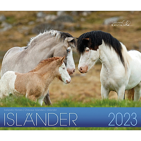 Isländer 2023
