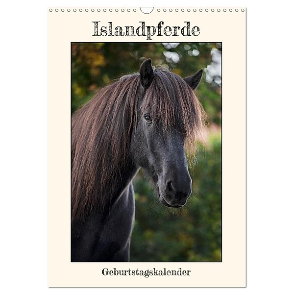 Isländer Geburtstagskalender (Wandkalender 2024 DIN A3 hoch), CALVENDO Monatskalender, Stephanie Kohrt