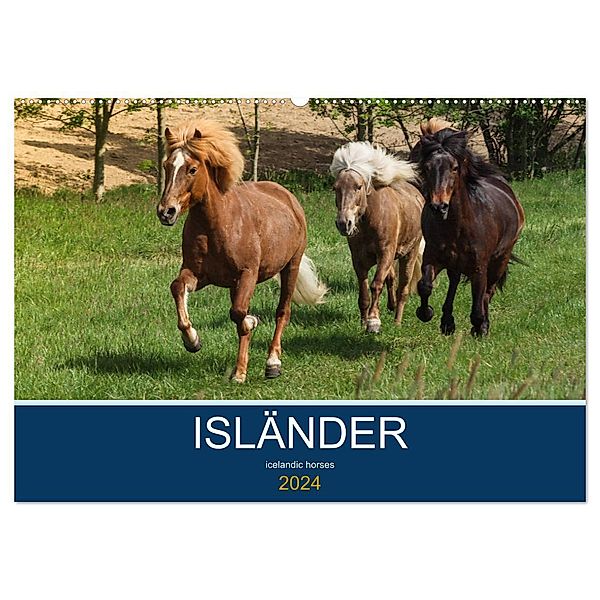 Isländer - icelandic horses (Wandkalender 2024 DIN A2 quer), CALVENDO Monatskalender, Alexandra Hollstein