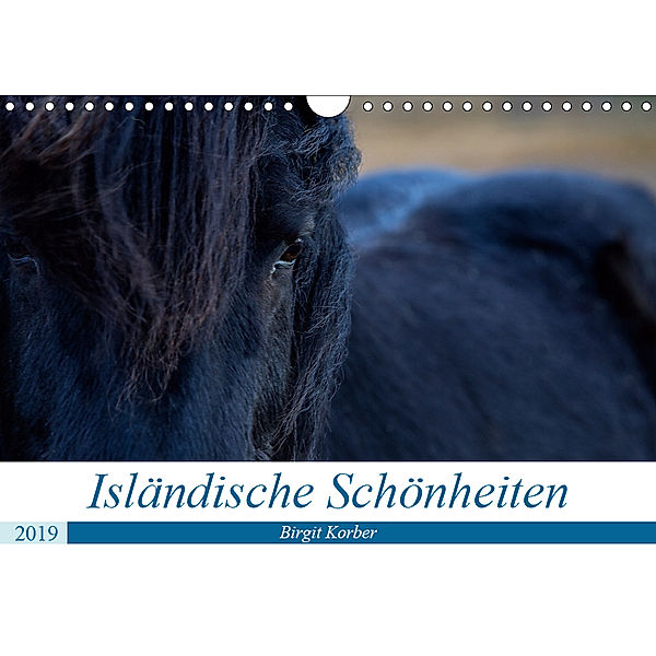 Isländische Schönheiten (Wandkalender 2019 DIN A4 quer), Birgit Korber