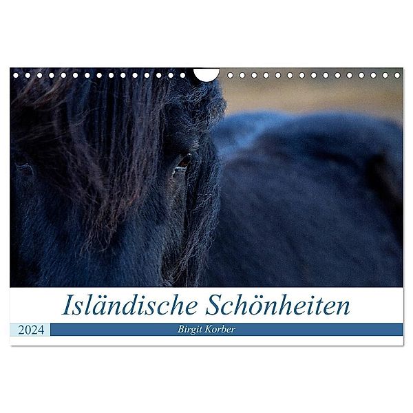 Isländische Schönheiten (Wandkalender 2024 DIN A4 quer), CALVENDO Monatskalender, Birgit Korber