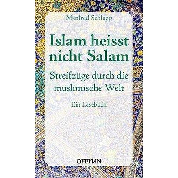 Islam heisst nicht Salam, Manfred Schlapp