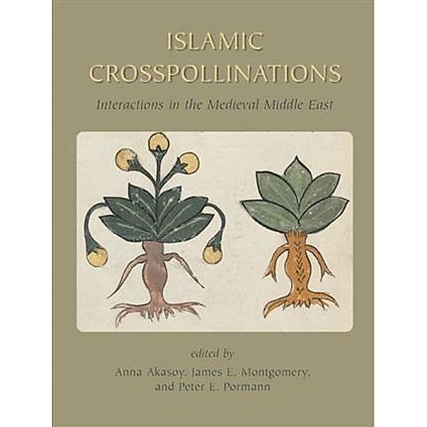 Islamic Crosspollinations, James Montgomery