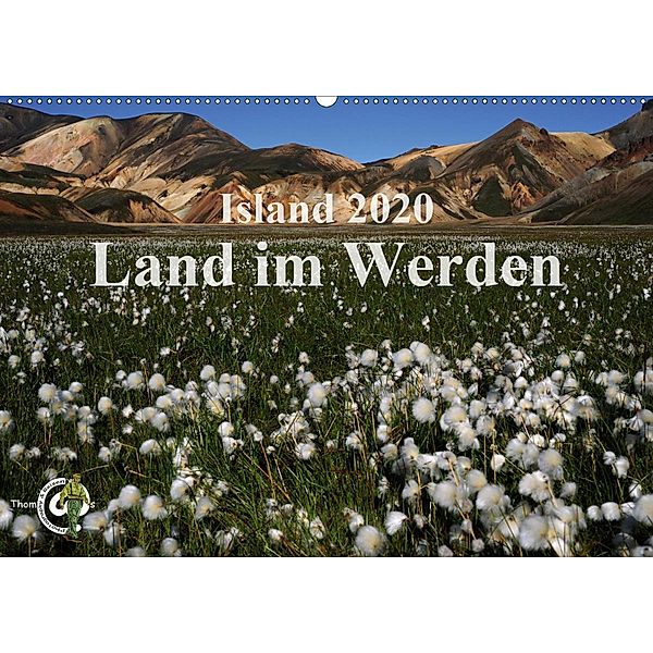 Island 2020 - Land im Werden (Wandkalender 2020 DIN A2 quer)