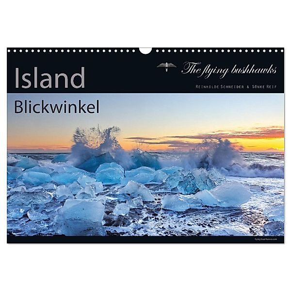 Island Blickwinkel 2025 (Wandkalender 2025 DIN A3 quer), CALVENDO Monatskalender, Calvendo, The flying bushhawks