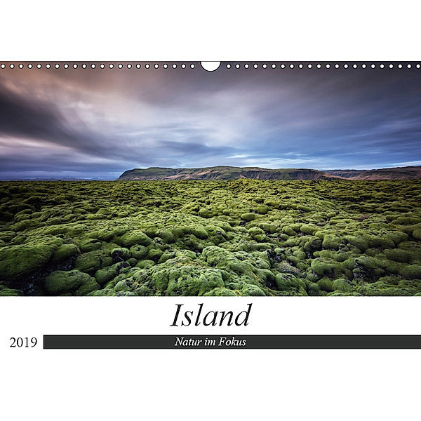 Island - Natur im Fokus (Wandkalender 2019 DIN A3 quer), Dieter Weck
