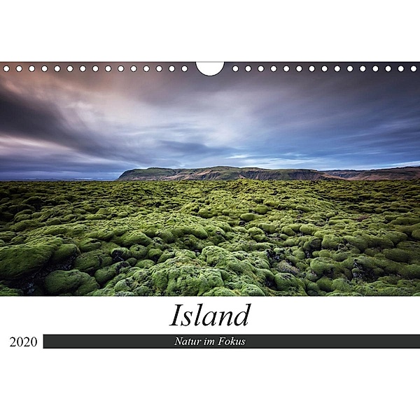 Island - Natur im Fokus (Wandkalender 2020 DIN A4 quer), Dieter Weck