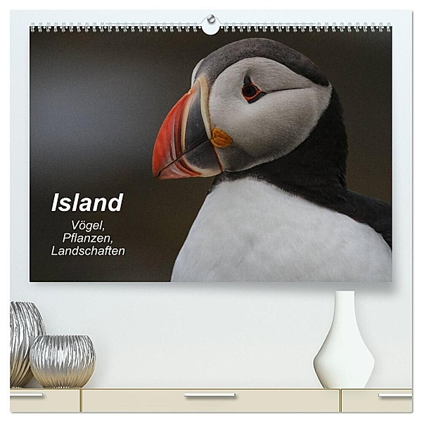Island: Vögel, Pflanzen, Landschaften (hochwertiger Premium Wandkalender 2024 DIN A2 quer), Kunstdruck in Hochglanz, Leon Uppena