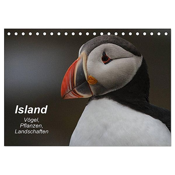 Island: Vögel, Pflanzen, Landschaften (Tischkalender 2024 DIN A5 quer), CALVENDO Monatskalender, Leon Uppena