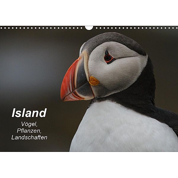 Island: Vögel, Pflanzen, Landschaften (Wandkalender 2021 DIN A3 quer), Leon Uppena