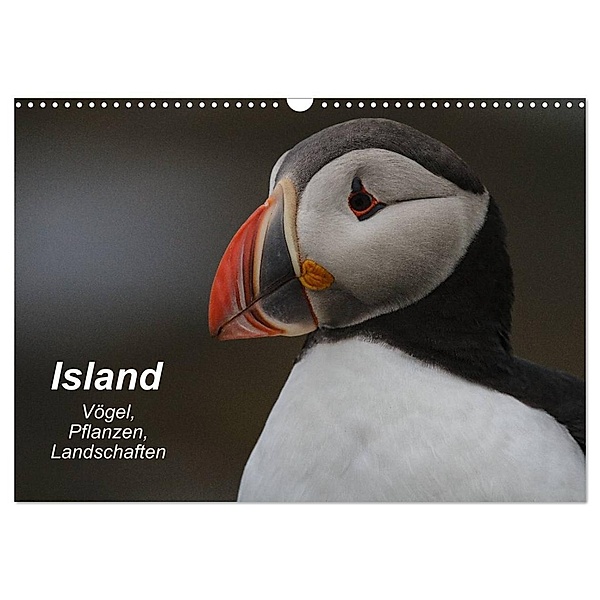 Island: Vögel, Pflanzen, Landschaften (Wandkalender 2024 DIN A3 quer), CALVENDO Monatskalender, Leon Uppena
