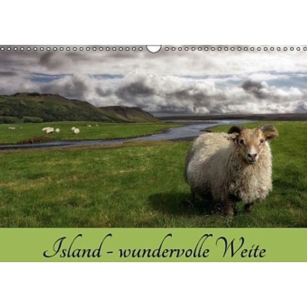 Island - wundervolle Weite (Wandkalender 2016 DIN A3 quer), Das Söckchen