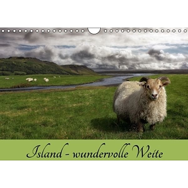 Island - wundervolle Weite (Wandkalender 2016 DIN A4 quer), Das Söckchen