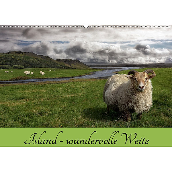 Island - wundervolle Weite (Wandkalender 2019 DIN A2 quer), Das Söckchen