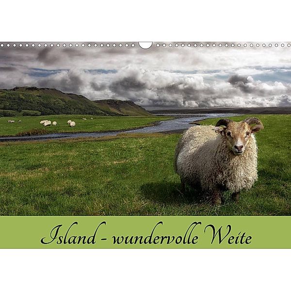 Island - wundervolle Weite (Wandkalender 2023 DIN A3 quer), Das Söckchen