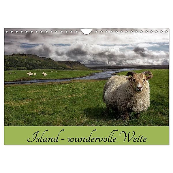 Island - wundervolle Weite (Wandkalender 2024 DIN A4 quer), CALVENDO Monatskalender, Das Söckchen