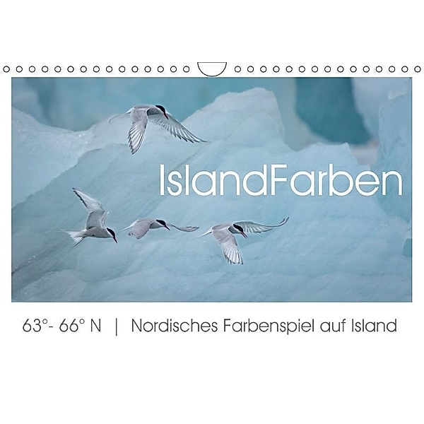 IslandFarben. 63°- 66°N Nordisches Farbenspiel auf Island (Wandkalender 2017 DIN A4 quer), Irma van der Wiel