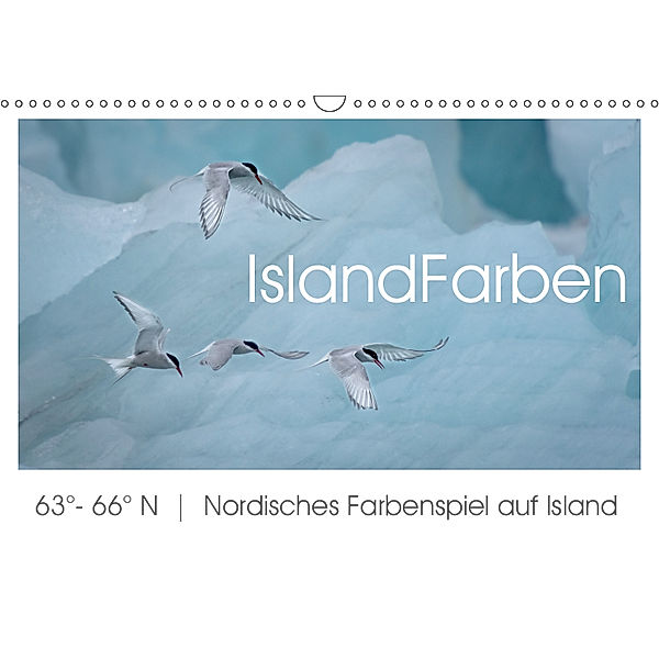 IslandFarben. 63°- 66°N Nordisches Farbenspiel auf Island (Wandkalender 2019 DIN A3 quer), Irma van der Wiel