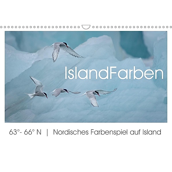 IslandFarben. 63°- 66°N Nordisches Farbenspiel auf Island (Wandkalender 2020 DIN A3 quer), Irma van der Wiel