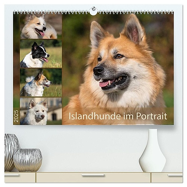 Islandhunde im Portrait (hochwertiger Premium Wandkalender 2025 DIN A2 quer), Kunstdruck in Hochglanz, Calvendo, Monika Scheurer