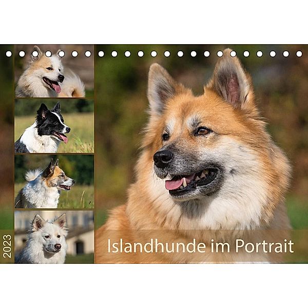 Islandhunde im Portrait (Tischkalender 2023 DIN A5 quer), Monika Scheurer