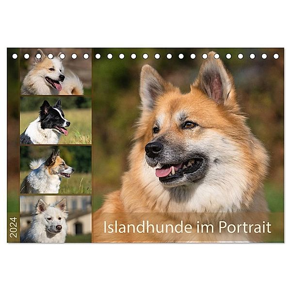 Islandhunde im Portrait (Tischkalender 2024 DIN A5 quer), CALVENDO Monatskalender, Monika Scheurer