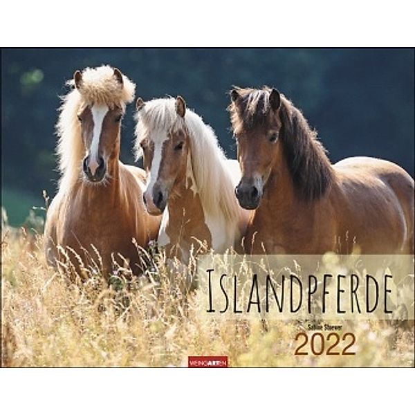 Islandpferde 2022, Sabine Stuewer