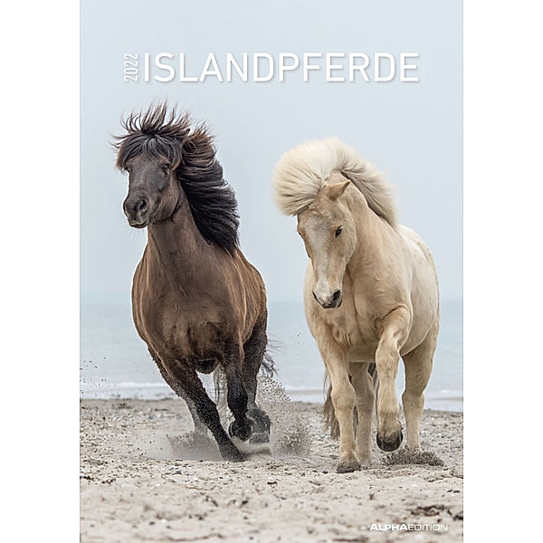 Islandpferde 2022 - Bildkalender A3 (29,7x42 cm) - Icelandic Horses - mit Feiertagen (DE/AT/CH) und Platz für Notizen - Wandplaner - Pferdekalender