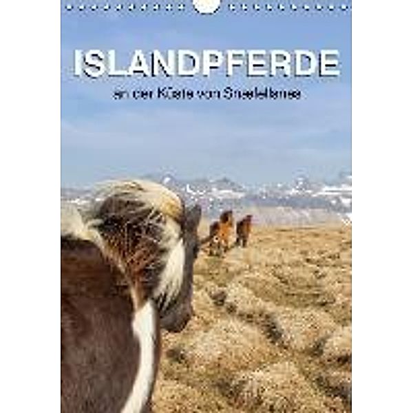 ISLANDPFERDE an der Küste von Snæfellsnes (Wandkalender 2016 DIN A4 hoch), Jutta Albert