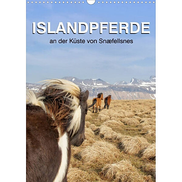 ISLANDPFERDE an der Küste von Snæfellsnes (Wandkalender 2022 DIN A3 hoch), Jutta Albert