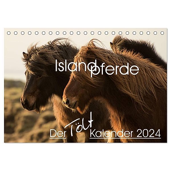 Islandpferde - Der Tölt Kalender (Tischkalender 2024 DIN A5 quer), CALVENDO Monatskalender, Irma van der Wiel - www.kalender-atelier.de