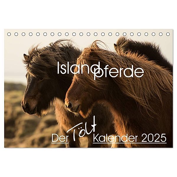 Islandpferde - Der Tölt Kalender (Tischkalender 2025 DIN A5 quer), CALVENDO Monatskalender, Calvendo, Irma van der Wiel - www.kalender-atelier.de