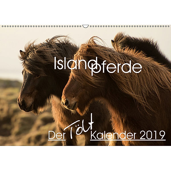 Islandpferde - Der Tölt Kalender (Wandkalender 2019 DIN A2 quer), Irma van der Wiel